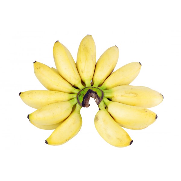 small banana-Kamara