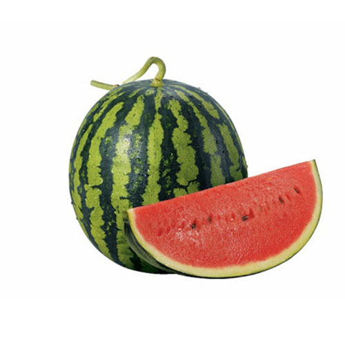 Small watermelon/count