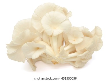 Fresh mushroom/gr